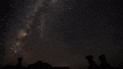 wyoming GIF