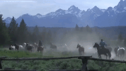 wyoming GIF