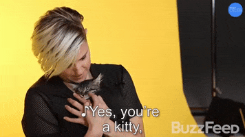 Hannah Hart Cat GIF by BuzzFeed