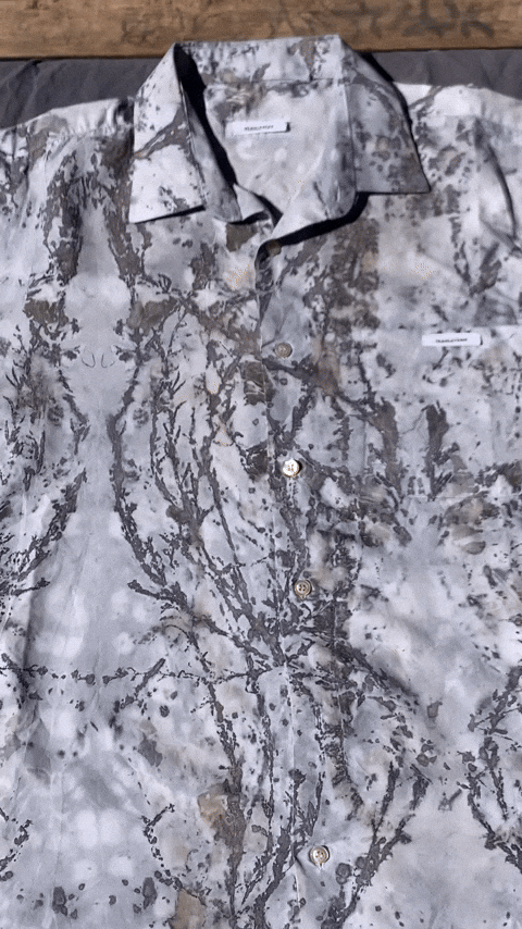 yeahleyeah giphyupload GIF