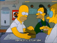 Season 1 GIF by The Simpsons