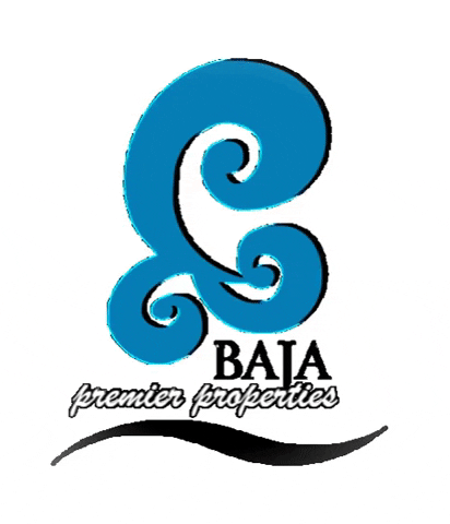 bajapremier giphyupload GIF