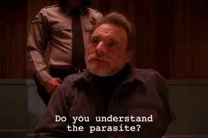 season 2 episode 6 GIF by Twin Peaks on Showtime