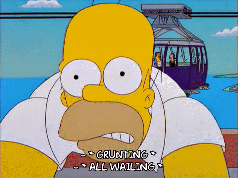 homer simpson GIF