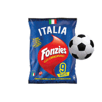 Calcio Euro Sticker by Fonzies
