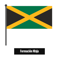 Flag Bandera Sticker by Formación Ninja