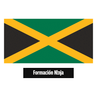Flag Pixel Art Sticker by Formación Ninja