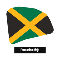 Flag Bandera Sticker by Formación Ninja