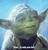 this is why you fail star wars GIF