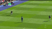 noble GIF by nss sports