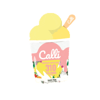 Ice Cream Vegan Sticker by eatcalli