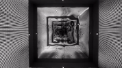 video wow GIF by VIRTUTE