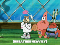 season 5 GIF by SpongeBob SquarePants