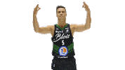 Ada Blois Sticker by ADA Blois Basket 41