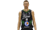 Ada Blois Sticker by ADA Blois Basket 41