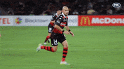Western Sydney Wanderers Football GIF by wswanderersfc