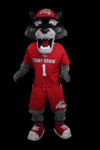 Stony Brook Seawolves GIF by Stony Brook University