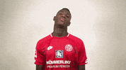 GIF by 1. FSV Mainz 05