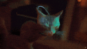 Neon City Cat GIF