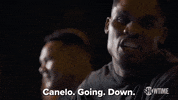 Sport Boxing GIF by SHOWTIME Sports