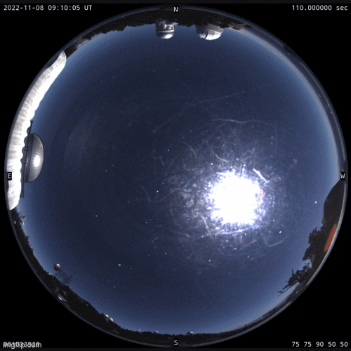 desisurvey giphyupload GIF