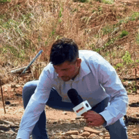 Globo Reporter GIF