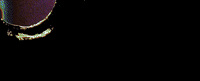 Ckan GIF by EMPIRE