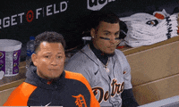 Detroit Tigers Reaction GIF by Bally Sports Detroit