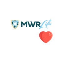 Travel Advantage Sticker by MWR Life