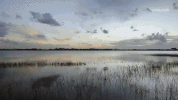viceland GIF by DOPESICK NATION