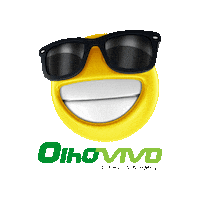 Vistoria Veicular Sticker by Olho Vivo Vistorias
