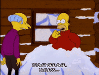 homer simpson GIF