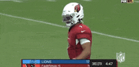 Regular Season Football GIF by NFL