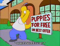 homer simpson episode 20 GIF