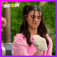 Dixie Snaporiginals GIF by Snap