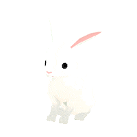 Bunny Rabbit Sticker