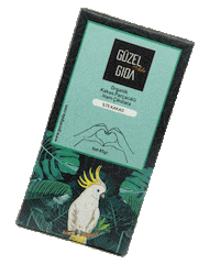 guzelgida vegan chocolate organic glutenfree Sticker