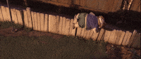 Fail I Can Do This GIF by LAIKA Studios
