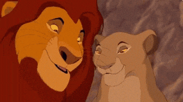 Couple Goals GIF by memecandy