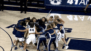 utah state GIF by USUAthletics