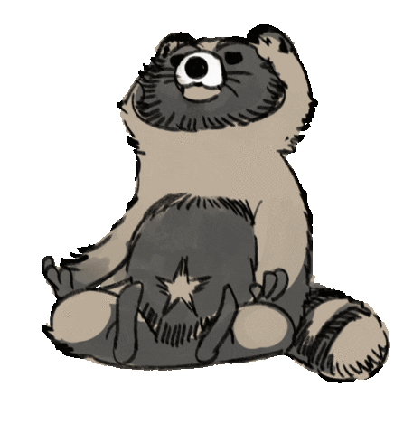 Art Raccoon Sticker