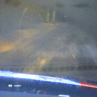 Crash GIF by FIA World Rally Championship