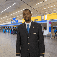 Royal Dutch Airlines Travel GIF by KLM