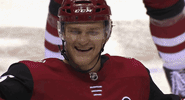 celebrate ice hockey GIF by NHL