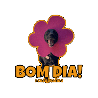 Cacausando pet pets flor cachorro Sticker