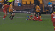 Celebration Goal GIF by MolaTV