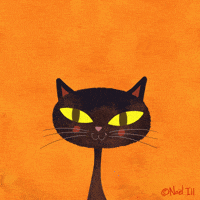 Black Cat Halloween GIF