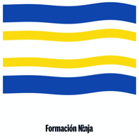 Castilla Y Leon Flag GIF by Formación Ninja