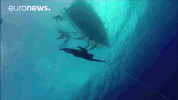 Le Grand Bleu GIF by euronews