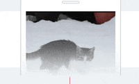 spark romantic GIF by Product Hunt